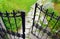 Wrought iron gate, garden stone path