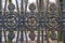 Wrought iron ornamental fence