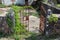 Wrought iron partially rusted open front yard doors of abandoned family house covered with crawler plant mounted on traditional