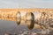 Wtwo steel culverts reflecting in water