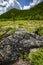 Wudalianchi volcanic rocks in China.