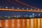 Wuhan Yingwuzhou Yangtze River Bridge night scenery