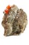 Wulfenite