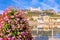 Wurzburg. Main river waterfront and scenic Wurzburg castle and vineyards reflection view