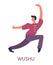 Wushu sport Chinese fighting technique fighter vector illustration