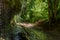 Wutach Gorge with river and waterfalls - Walking in beautiful landscape of the blackforest, Germany