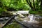 Wutach Gorge in the Schwarzwald