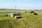 WW1 foxhole trench of death in Diksuimde Flanders Belgium