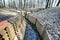 WW1 trench at Sanctuary Wood