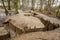 WW1 trenches at Sanctuary Wood, Ypres, Belgium.