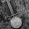 WW2 British Defense Medal - Film Grain