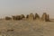 WW2 lookout post ruins at Gebel al Ingleez mountain near Bahariya oasis, Egy