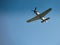 WW2  North Americam P51 Mustang in flight