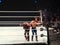 WWE Wrestler Ali prepares to use the ropes as Shinsuke Nakamura kneels over in ring