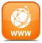 WWW (global network icon) special orange square button
