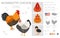 Wyandotte Chicken breeds clipart. Poultry and farm animals. Different colors set