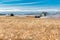 Wymark, SK- Sept 8, 2020:  Multiple combines harvesting wheat in a field at sunset in Wymark, Saskatchewan