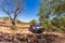 Wyndham, WA, Australia - Aug 31, 2014: A Toyota Landcruiser and Camprite offroad camper trailer park next to a boab tree on the