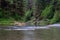 Wynoochee Falls In Olympic National Forest