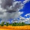 Wyoming country landscape