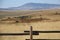 Wyoming Grassland