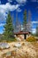 Wyoming Mountain Forest Cabin