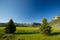 Wyoming Mountain Meadow