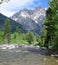 A Wyoming Stream