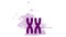 X chromosome icon