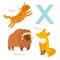 X letter animals set. English alphabet. Vector illustration