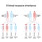 X-linked recessive inheritance