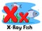 X ray fish letter on a white background. Alphabet for children