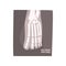 X ray image of human foot cartoon vector Illustration