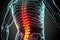 X-ray of a person\\\'s spine with the spine area illuminated.