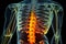 X-ray of a person\\\'s spine with the spine area illuminated.