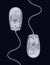 X RAY PHOTOGRAPHIC IMAGE OF COMPUTER MICE ON BLACK BACKGROUND