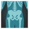 X-ray shot of pelvis and spinal column, human body bones, radiography, vector illustration.