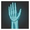 X-ray shot of wrist, human body, bones of hand, radiography, vector illustration.