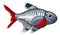 X-ray tetra cartoon fish