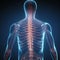 x-rays of the spine, Scoliosis film x-ray show spinal bend in teenager patient