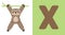 X is for Xenarthra. Letter X. Xenarthra, cute illustration. Animal alphabet.