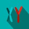 X and Y chromosome flat icon
