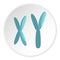 X and Y chromosomes icon circle