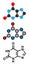 Xanthine purine base molecule