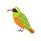 Xantus Hummingbird cartoon character