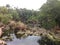 Xel-Ha, cenote, stones and trees