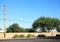 Xeriscaped Roadsides in Arizona capital city of Phoenix, copy space