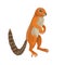 Xerus inauris, ground squirrel, African animal. Cute children's illustration, ginger animal. Vector character on white