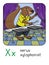 Xerus xylophonist Animals ABC for kids. Alphabet X