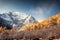 Xiannairi holy mountain with golden pine forest in autumn at Yading